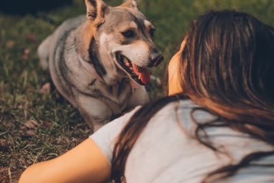 Do Pets Make Children Happier?